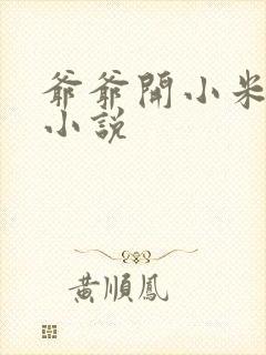 爷爷开小米的包小说