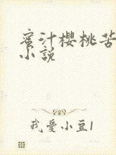 蜜汁樱桃苦咖啡小说