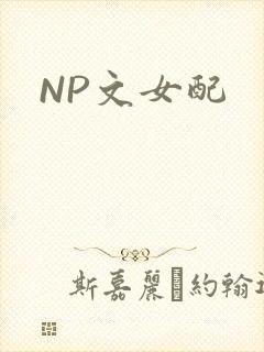 NP文女配