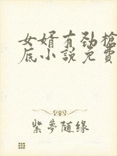 女婿有劲枪枪到底小说免费看