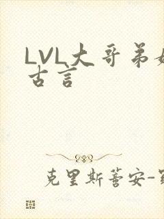 LVL大哥弟媳古言