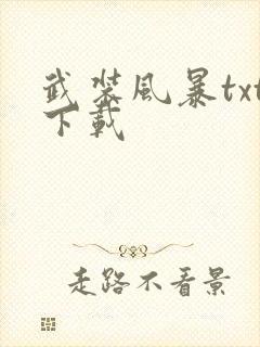 武装风暴txt下载