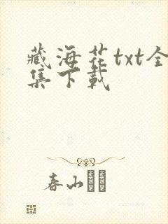 藏海花txt全集下载
