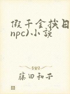 假千金挨日记(npc)小说