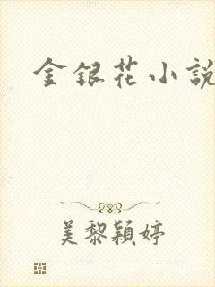 金银花小说乐可