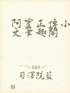 阿宾正传小说全文笔趣阁