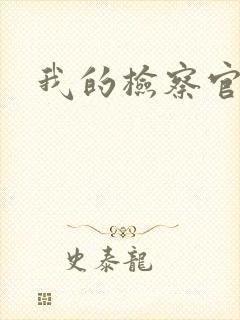 我的检察官先生