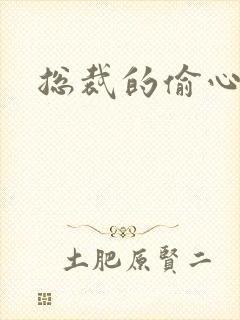 总裁的偷心娇妻