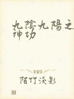 九阴九阳之阴阳神功
