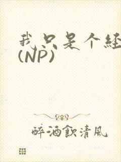 我只是个经纪人(NP)