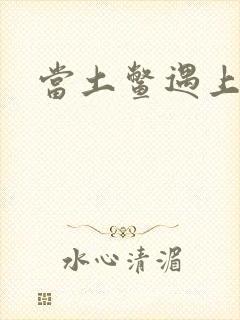 当土鳖遇上海龟