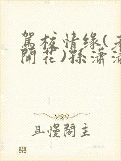 驾校情缘(老树开花)孙潇潇笔趣阁