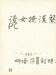 渣女撩汉系统NPC