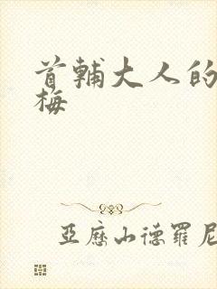 首辅大人的小青梅