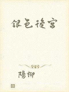 银色后宫