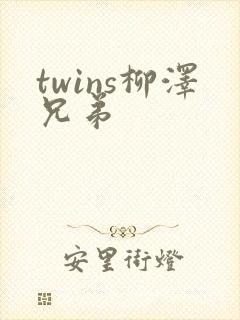 twins柳泽兄弟