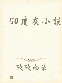 50度灰小说