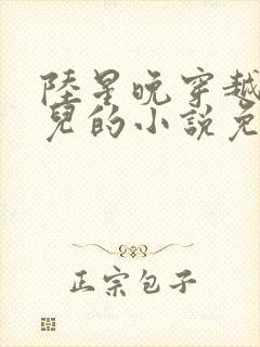 陆星晚穿越成婴儿的小说免费阅读全文