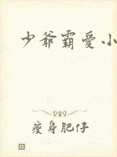 少爷霸爱小丫头