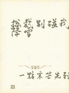 总裁别碰我 韩降雪