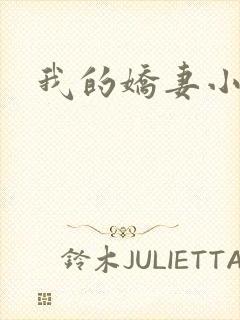 我的娇妻小说