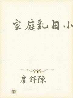 家庭乱日小说