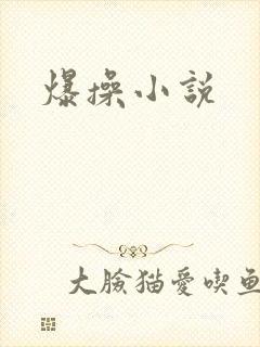 爆操小说