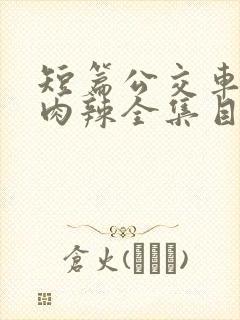 短篇公交车高h肉辣全集目录