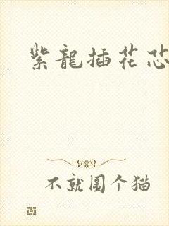 紫龙插花芯方正