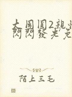 大团圆2亲情会闪闪发光免费