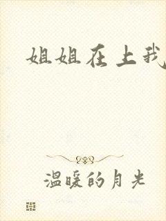 姐姐在上我在下