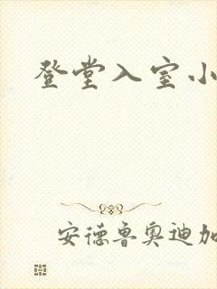 登堂入室小说