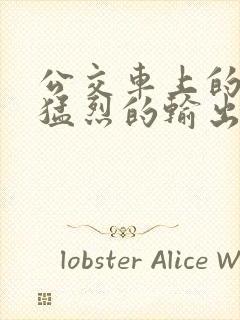 公交车上的诗请猛烈的输出阅读