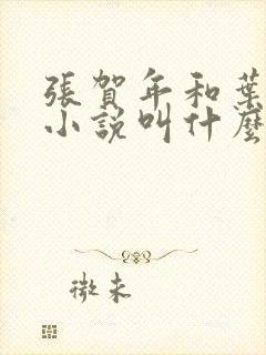 张贺年和叶繁姿小说叫什么名字