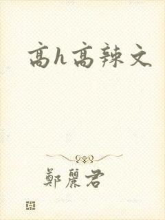 高h高辣文