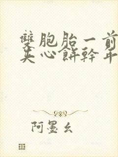 双胞胎一前一后夹心饼干年下