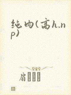 纯肉(高h.np)