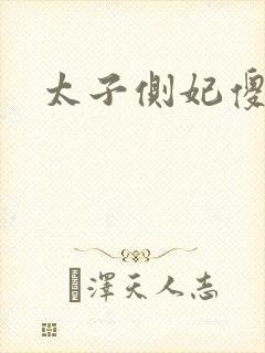 太子侧妃傻乎乎