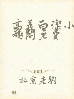 高义白洁小说笔趣阁免费