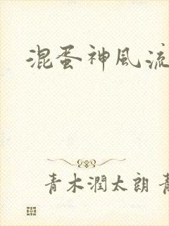 混蛋神风流