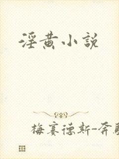淫黄小说