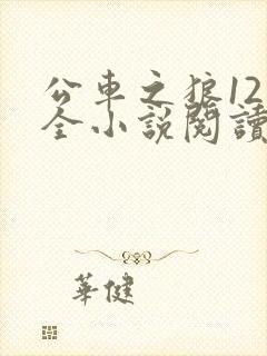 公车之狼12集全小说阅读