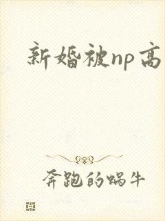 新婚被np高h