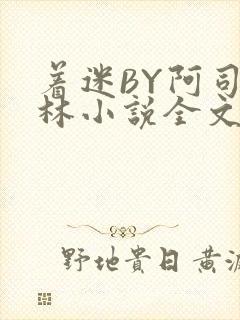 着迷BY阿司匹林小说全文免费阅读