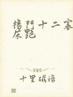 杨门十二寡妇肉床艳