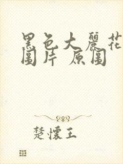 黑色大丽花真实图片 原图