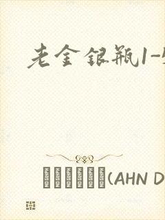 老金银瓶1-5