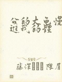 公的大龟慢慢挺进我的体