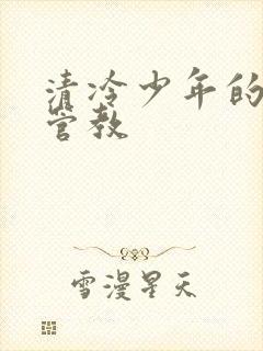 清冷少年的严厉管教