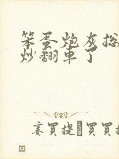 笨蛋炮灰总被爆炒翻车了